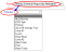 Example of Report option choice changing the Type field: Report option Activity Schedule Report (by Attendant) selected, leading to the Type field now being called Schedule